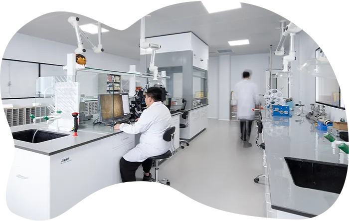 Investigación y desarrollo